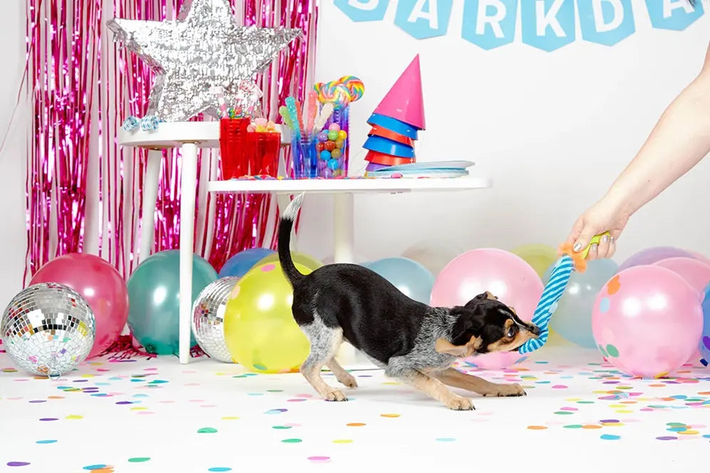 BARK Dog Party-Blower Horn Toy
