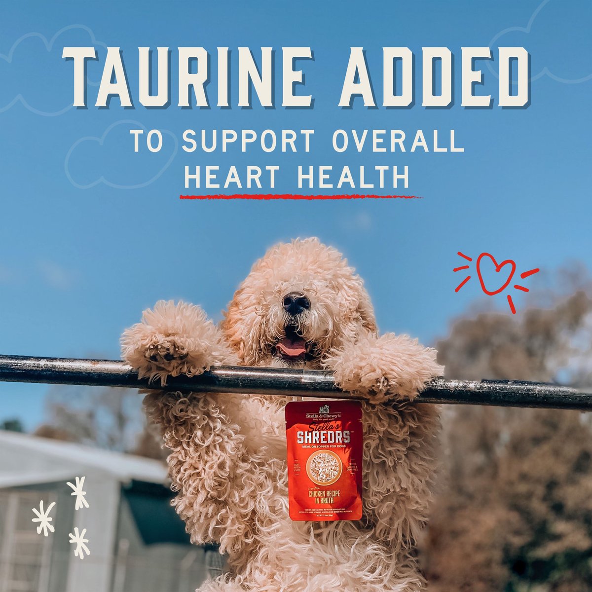 Stella & Chewy's Dog Shredrs Meal Topper Recipe in Broth