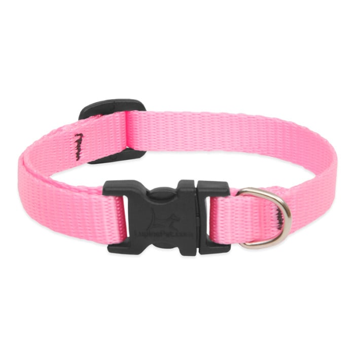 LupinePet Basic Solids Dog Collar, Small