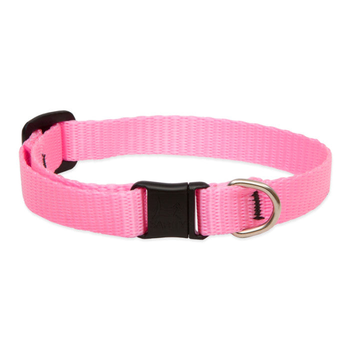 LupinePet Basic Solids Cat Collar