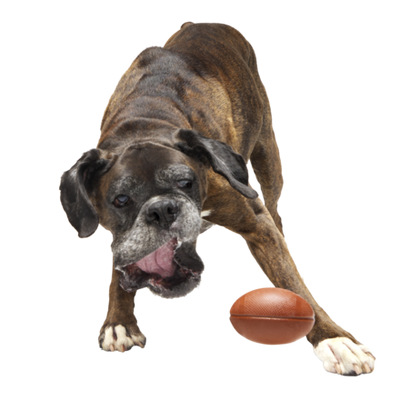 BARK Chompionship Football Super Chewer Dog Toy