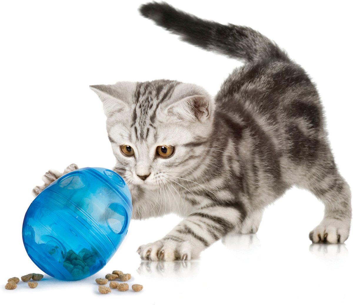 PetSafe Funkitty Egg-Cersizer Treat Dispenser Cat Toy