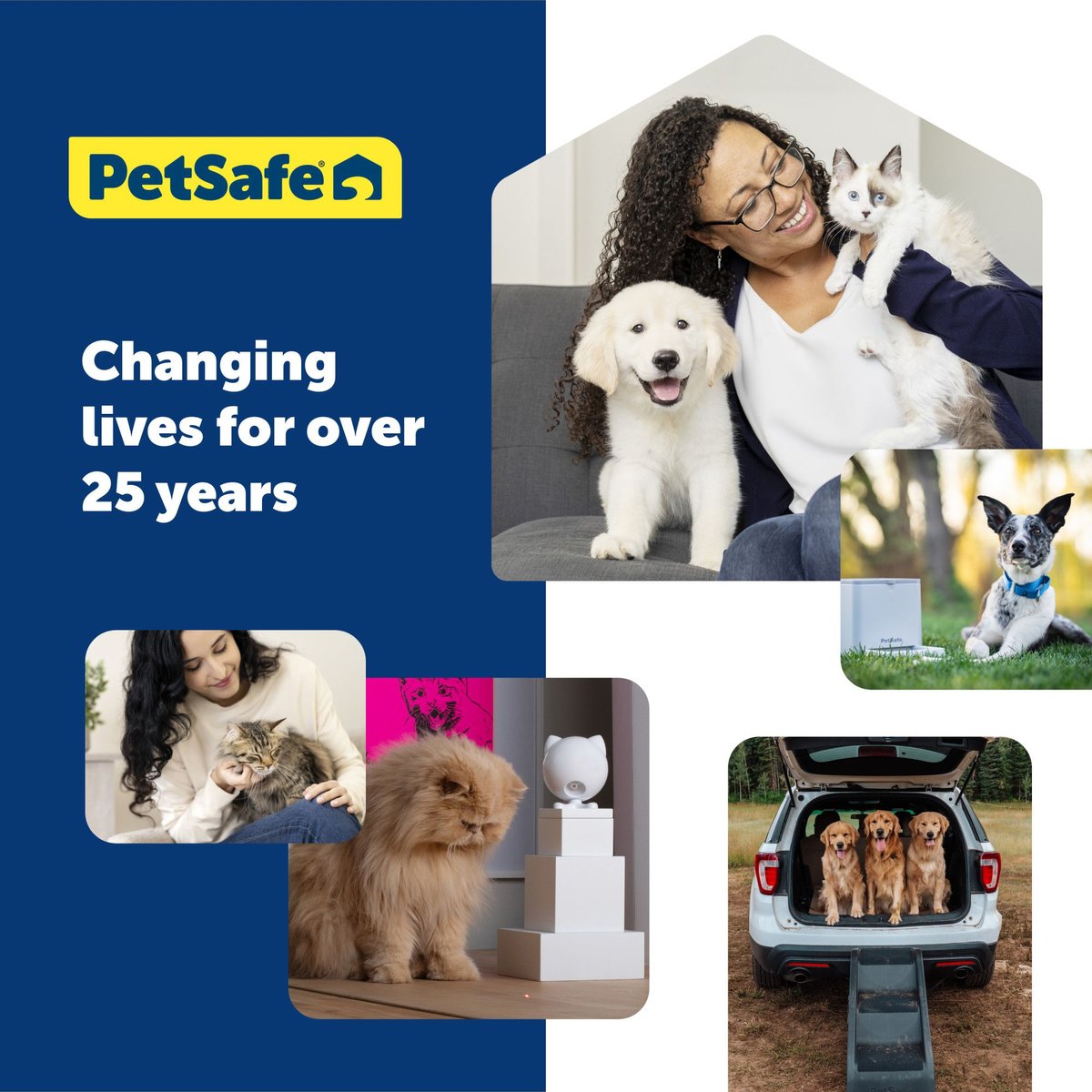 PetSafe Funkitty Egg-Cersizer Treat Dispenser Cat Toy