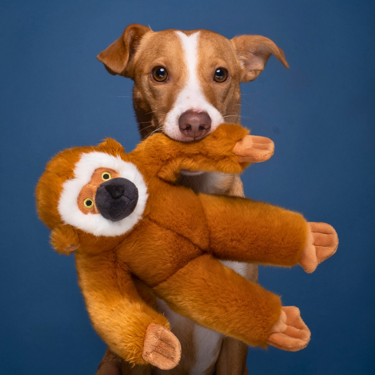 Fluff & Tuff "Marcel" - Monkey Plush Dog Toy