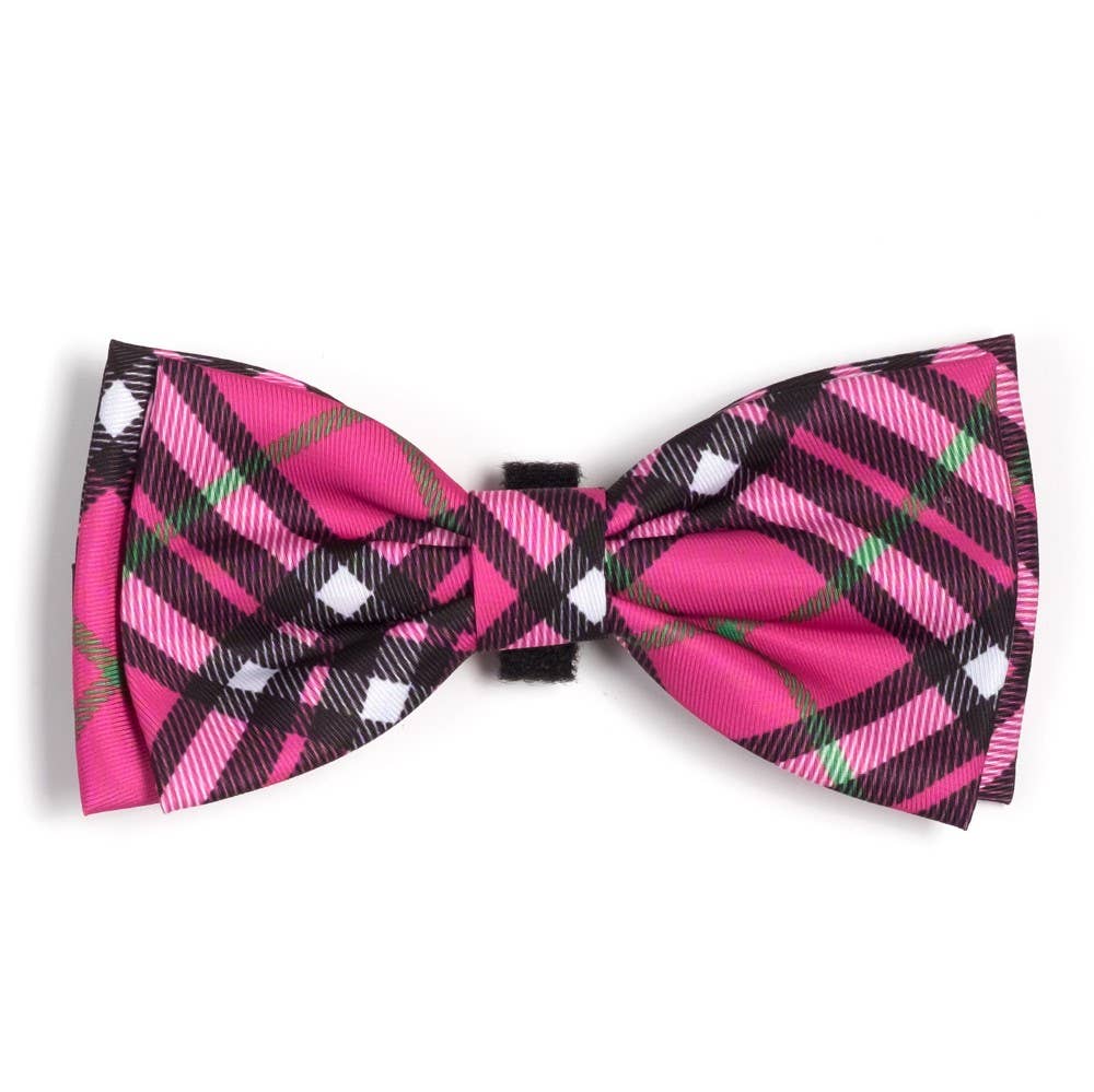 The Worthy Dog - Bias Plaid Bow Tie