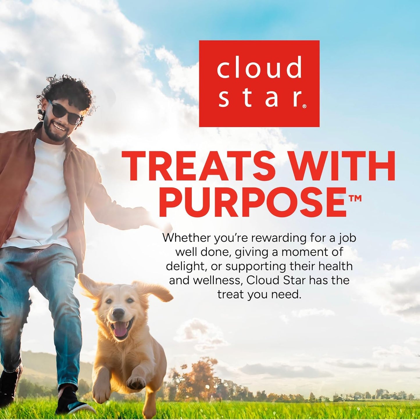 Cloud Star Dog Wag More Bark Less Meatball Bites