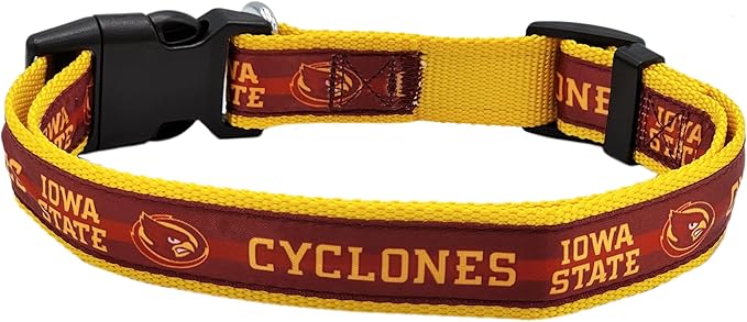 Collegiate Collar Iowa State Cyclones Small