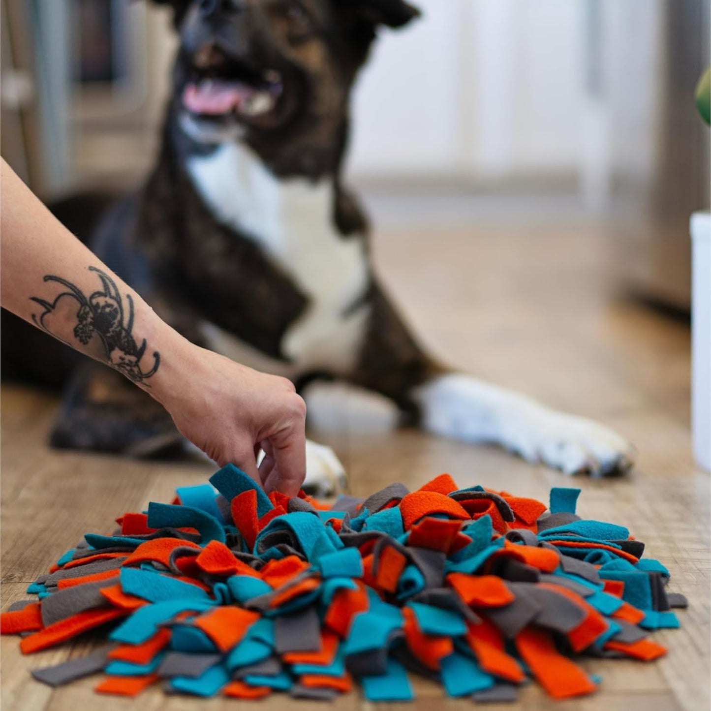 Messy Mutts Dog Round Forage Mat