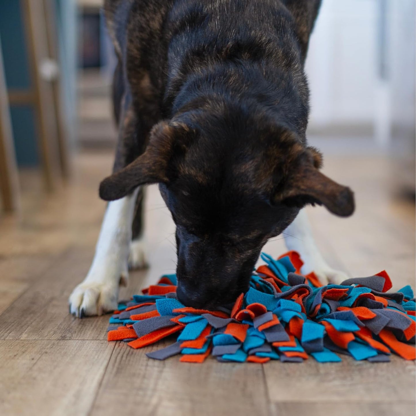 Messy Mutts Dog Round Forage Mat