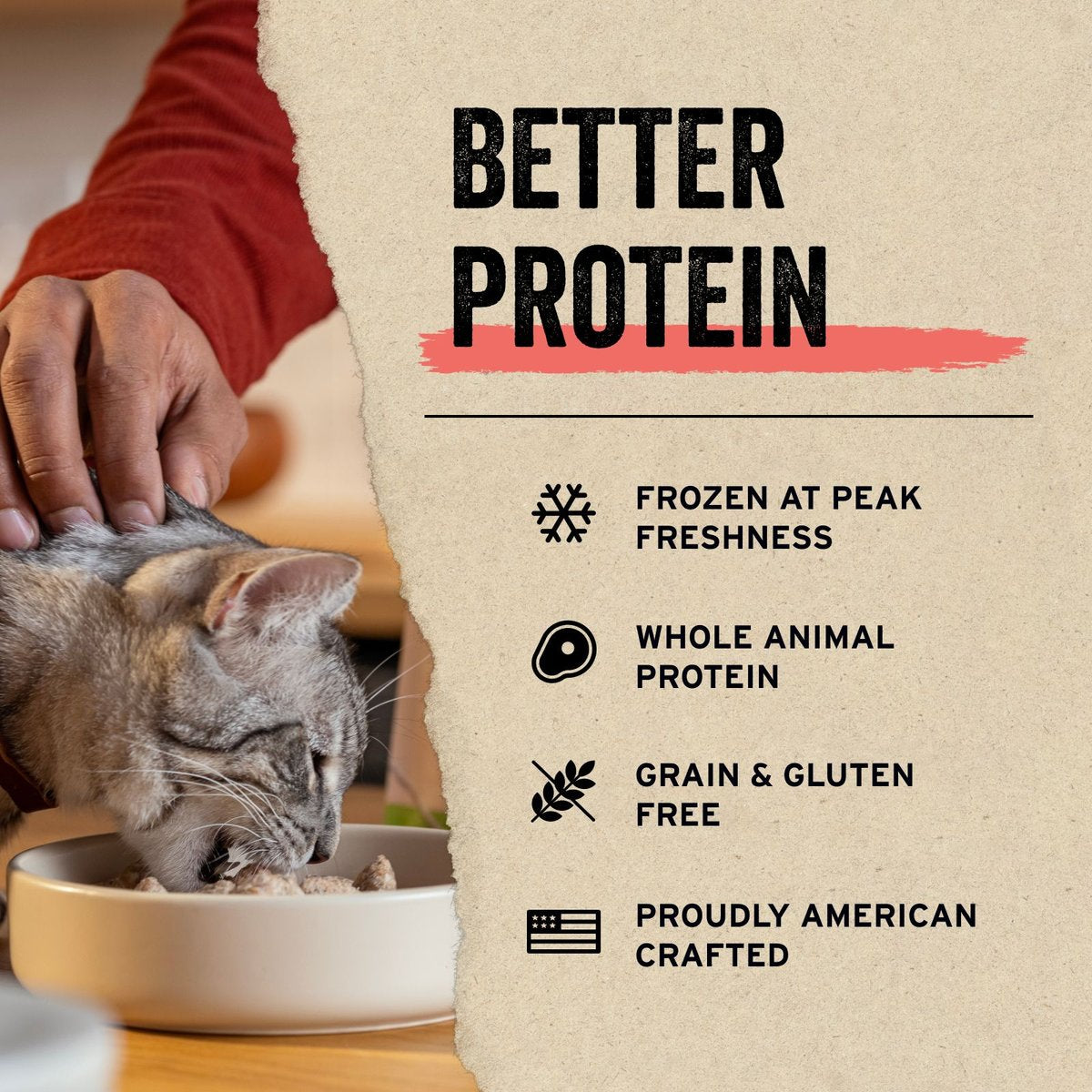 Vital Essentials Salmon Bites Freeze-Dried Raw Cat Treats
