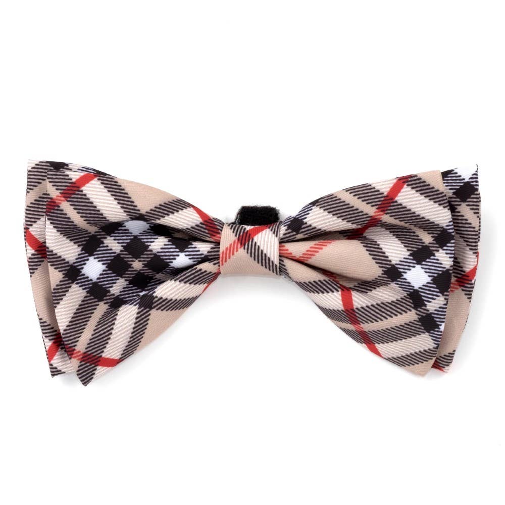 The Worthy Dog - Bias Plaid Bow Tie