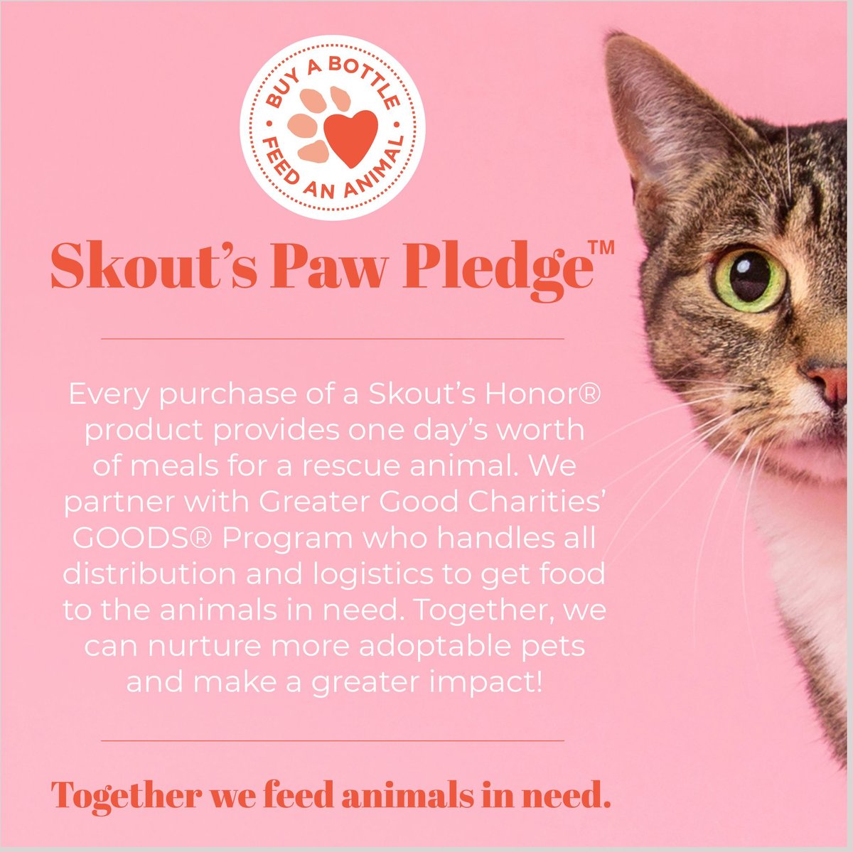 Skout’s Honor Grooming Wipes for Dogs and Cats, 80 count
