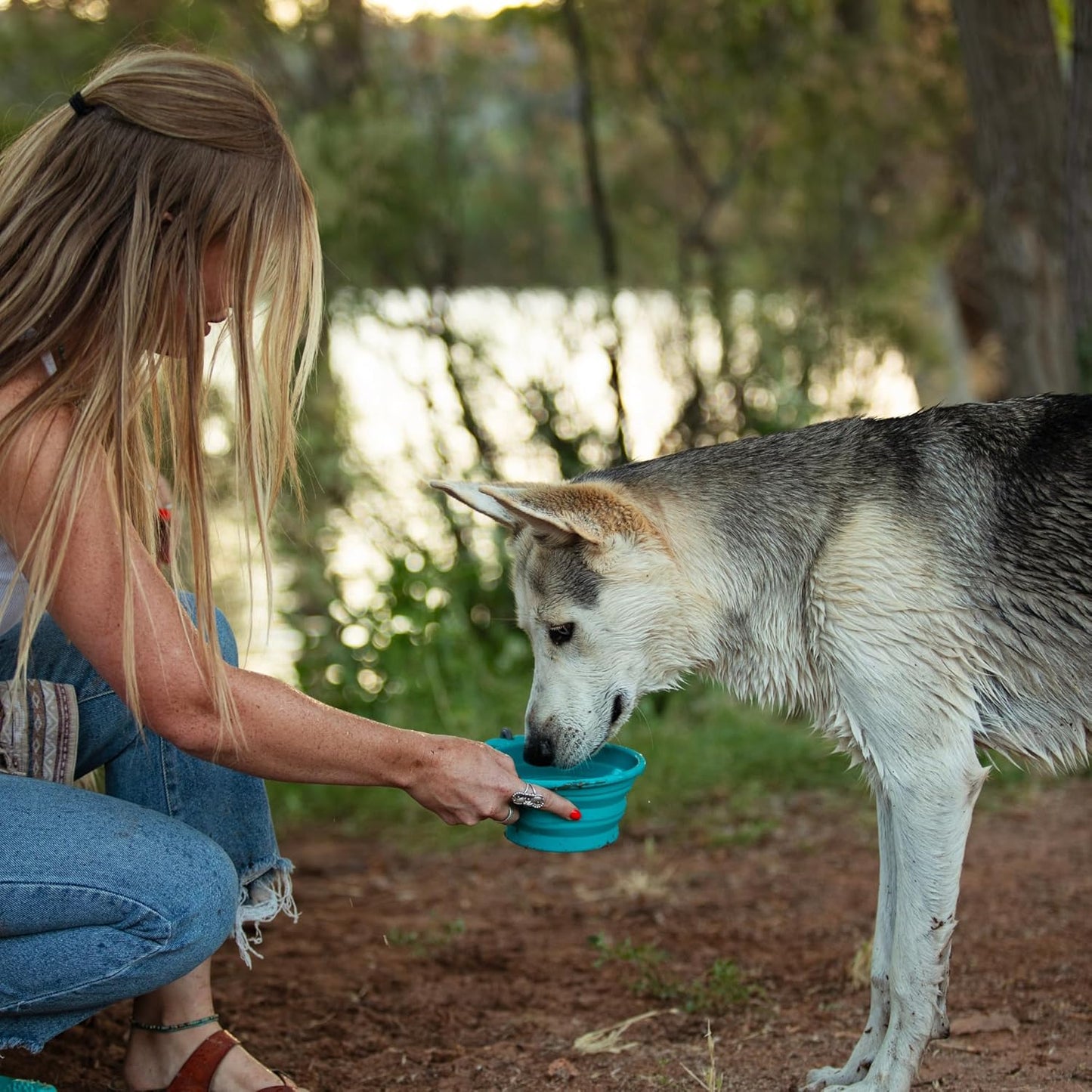 Messy Mutts Dog Silicone Collapsible Bowl