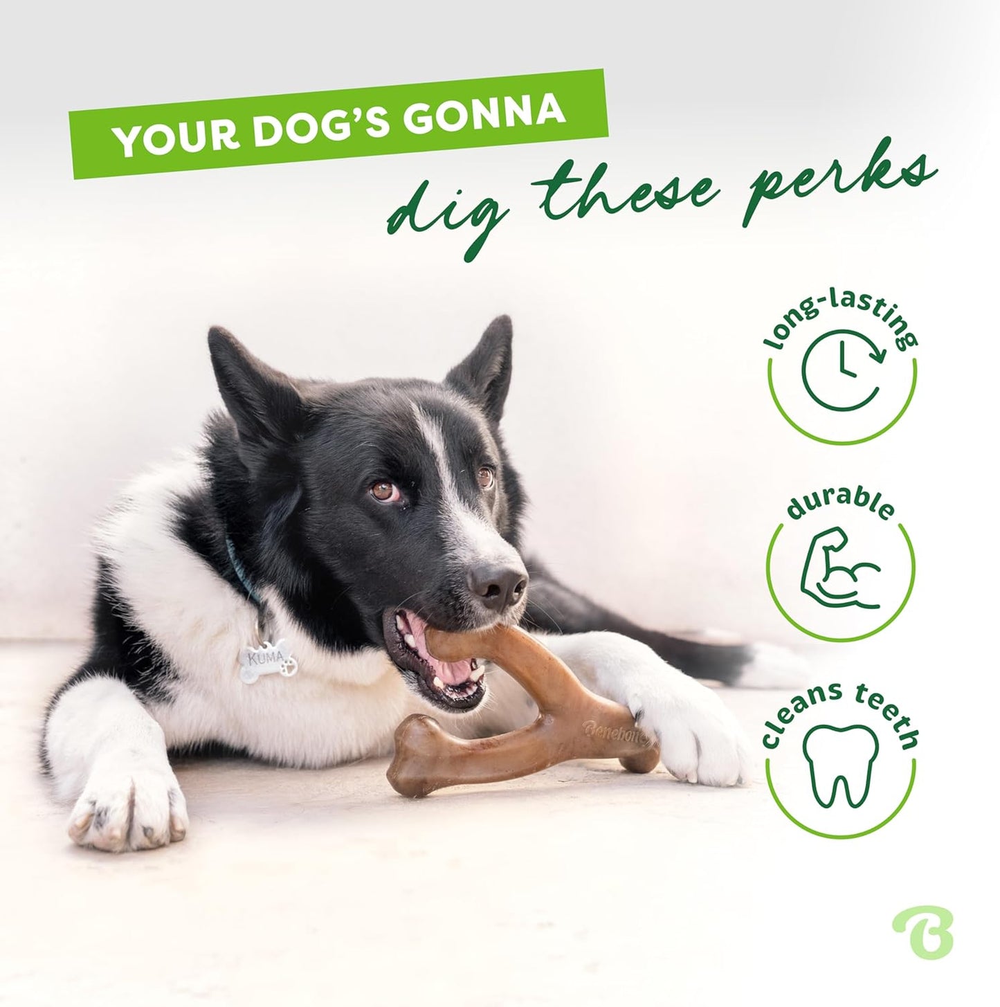 Benebone Dog Wishbone Bacon Flavor Chew Toy