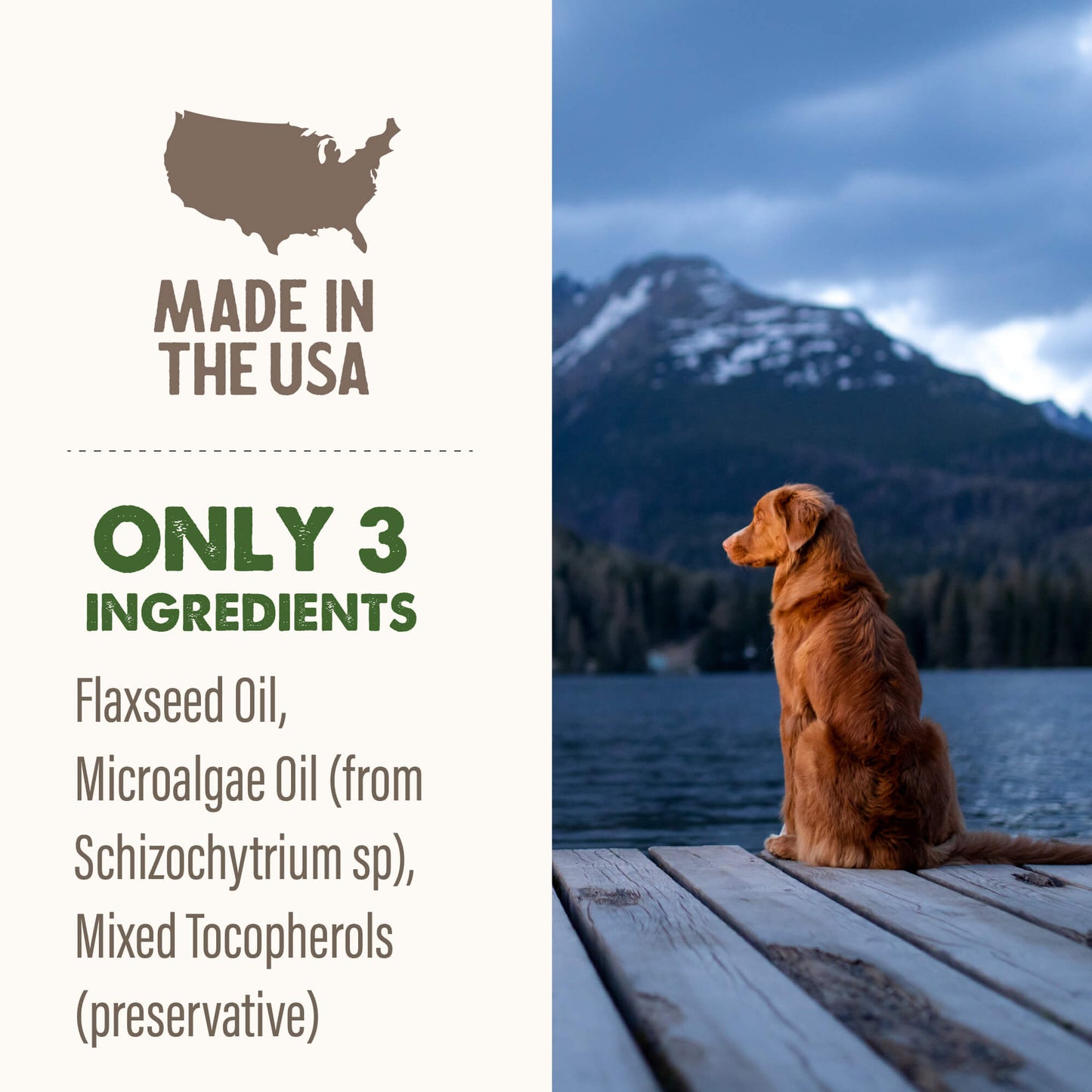 Grizzly Grizzly Algal Plus Omega Fatty Acids Supplement for Dogs and Cats