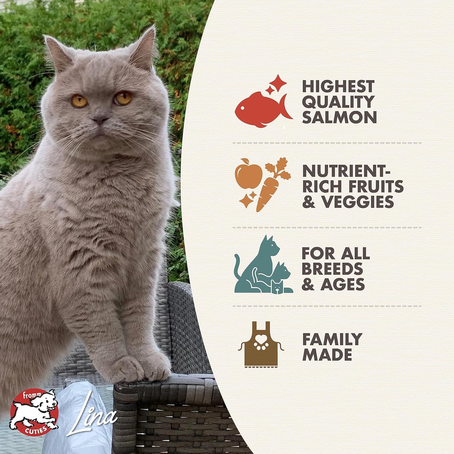Fromm Four-Star Grain Free Salmon Tunachovy Dry Cat Food