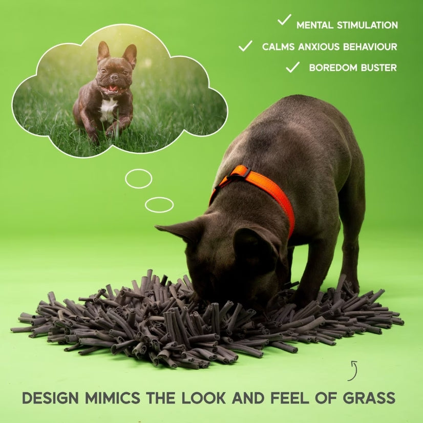 Paw5 Wooly Snuffle Mat
