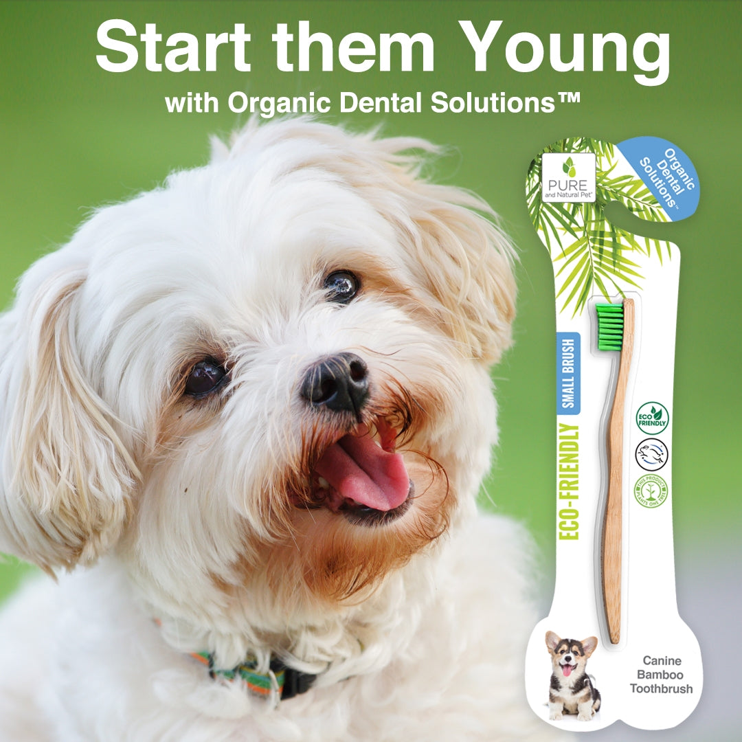 Pure and Natural Pet Bamboo Toothbrush, Small
