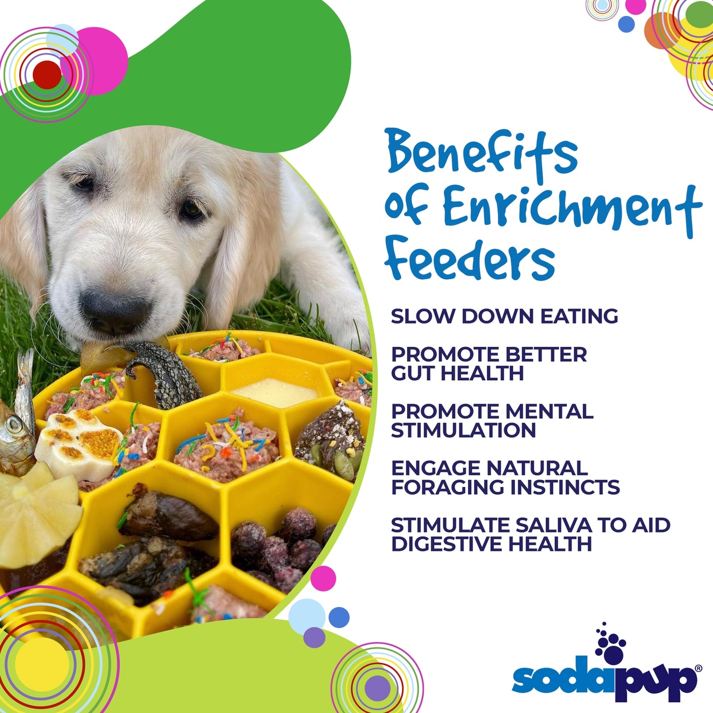 SodaPup Enrichment Slow Feeder Bowl, Honeycomb