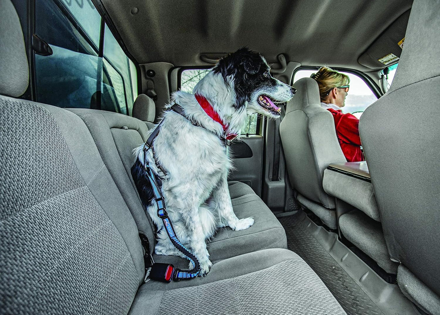 Kurgo Direct to Seatbelt Bungee Tether Dog Safety Belt