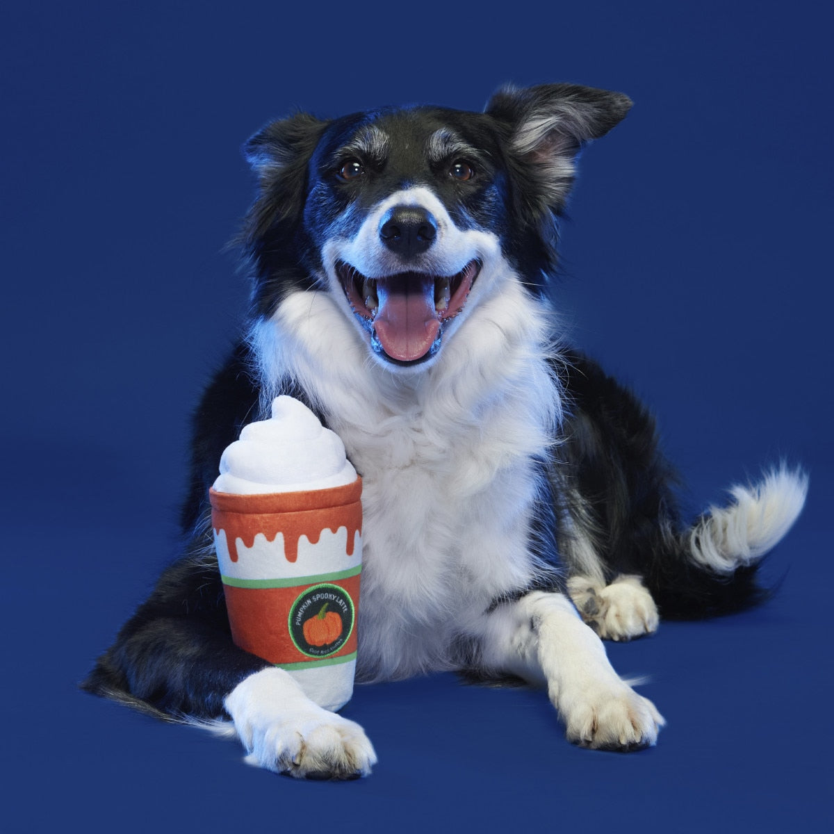 Bark! Whipped Pumpkin Latte
