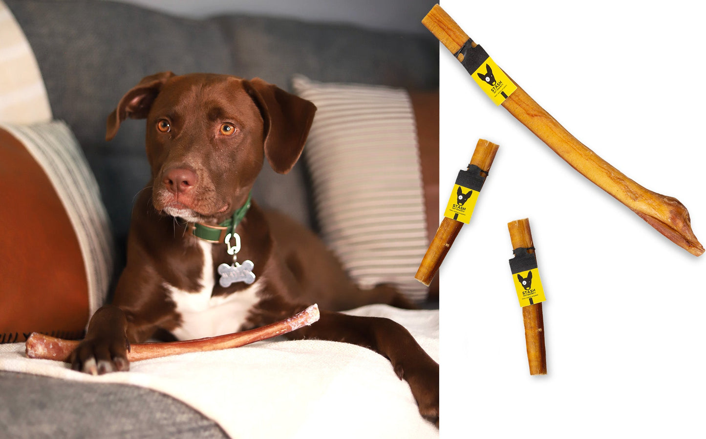 Super Snouts Dog Stash Jumbo Bully Stick Treat
