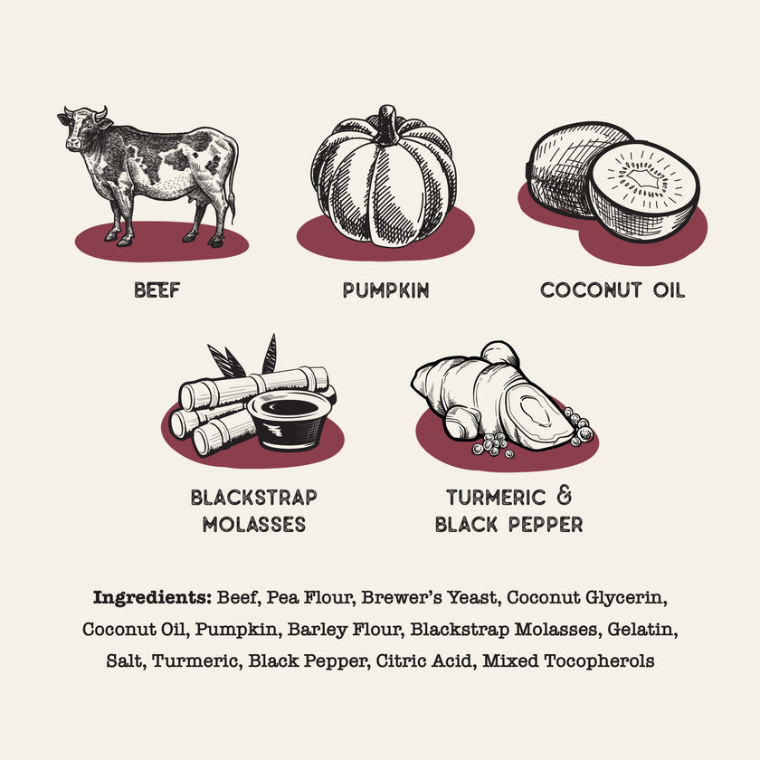 Dog Treat Naturals Superfood Sticks Beef & Pumpkin Dog Treats