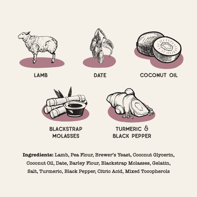 Dog Treat Naturals Superfood Sticks Lamb & Date Dog Treats