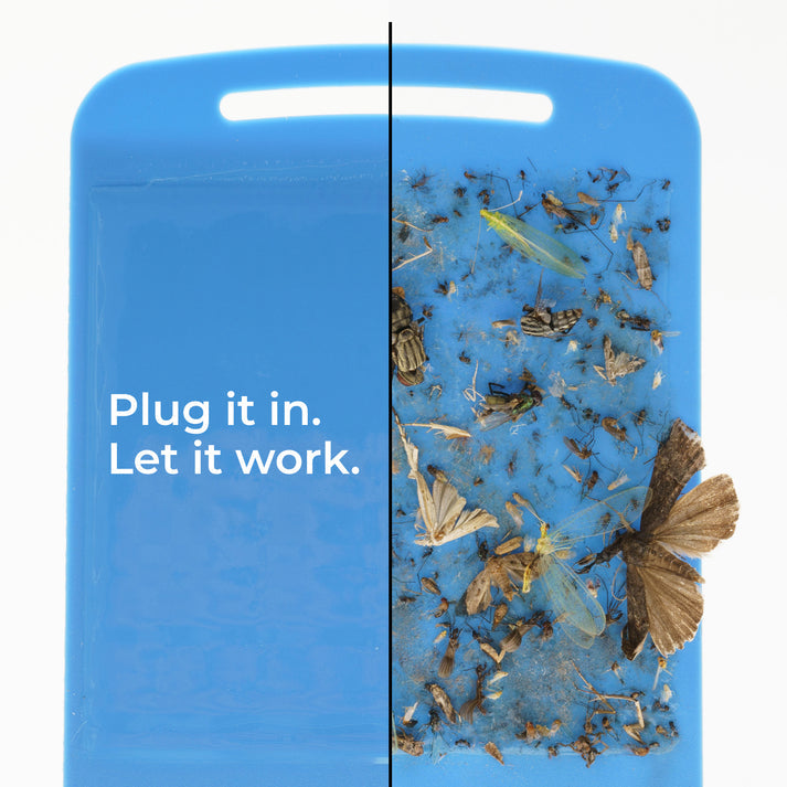 Wondercide Flying Insect Trap Refill, 4 ct.