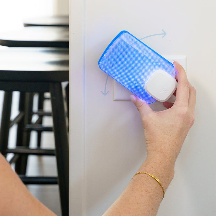 Wondercide Flying Insect Trap Starter Kit