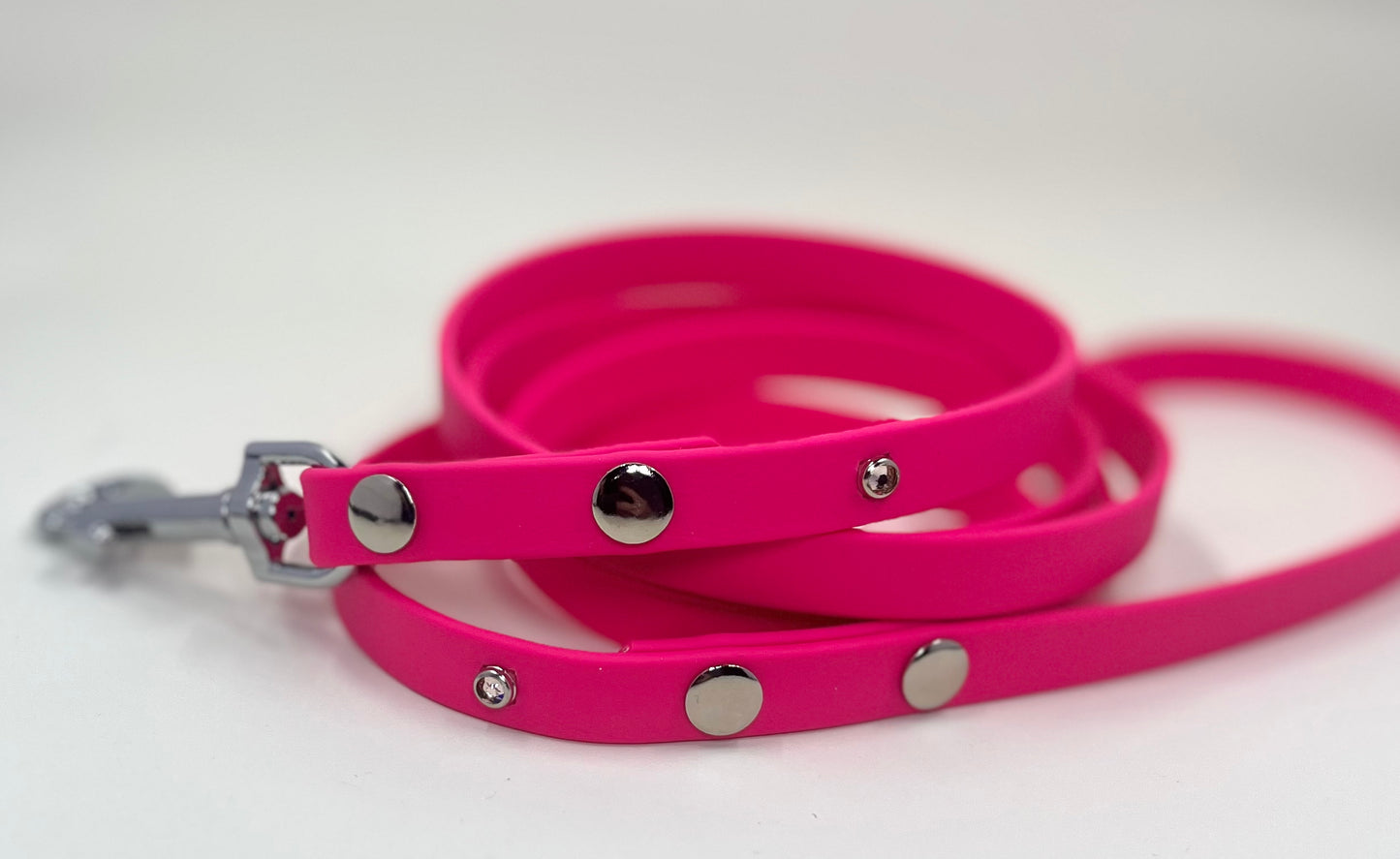 So Fetching Bit of Bling 5-Foot BioThane Leash