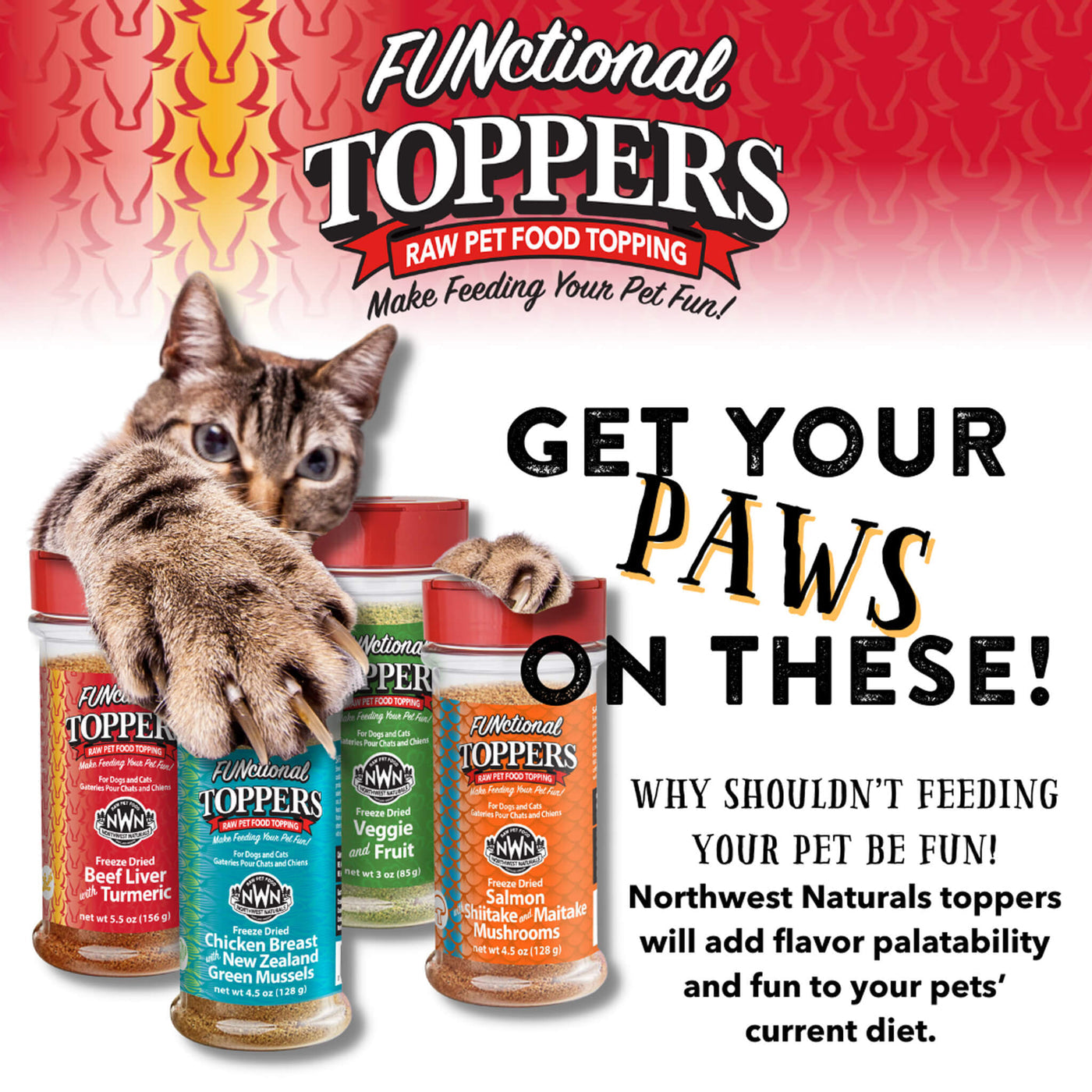 Northwest Naturals Beef Blood Freeze Dried FUNctional Toppers