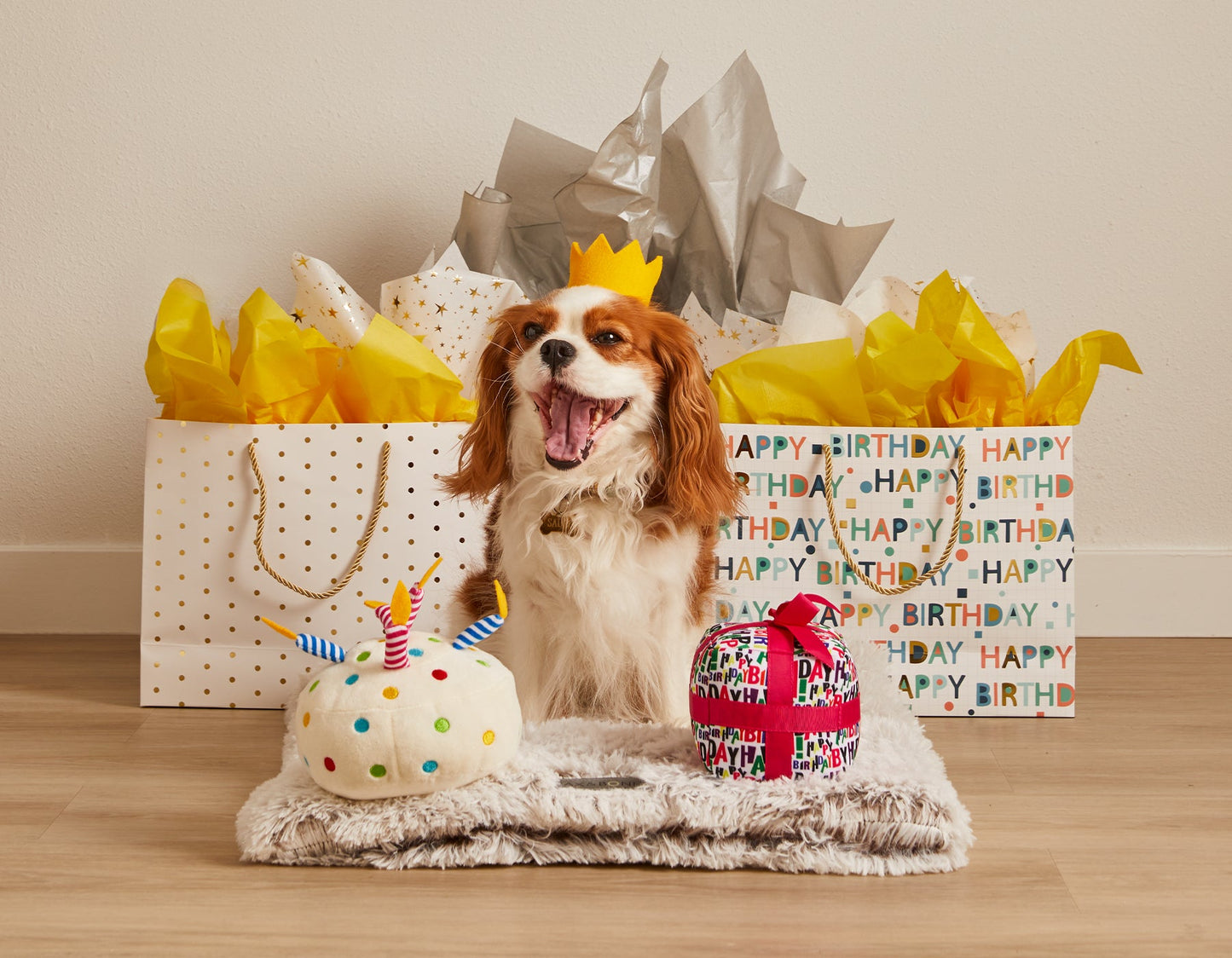 Jax & Bones Birthday Cake Dog Toy