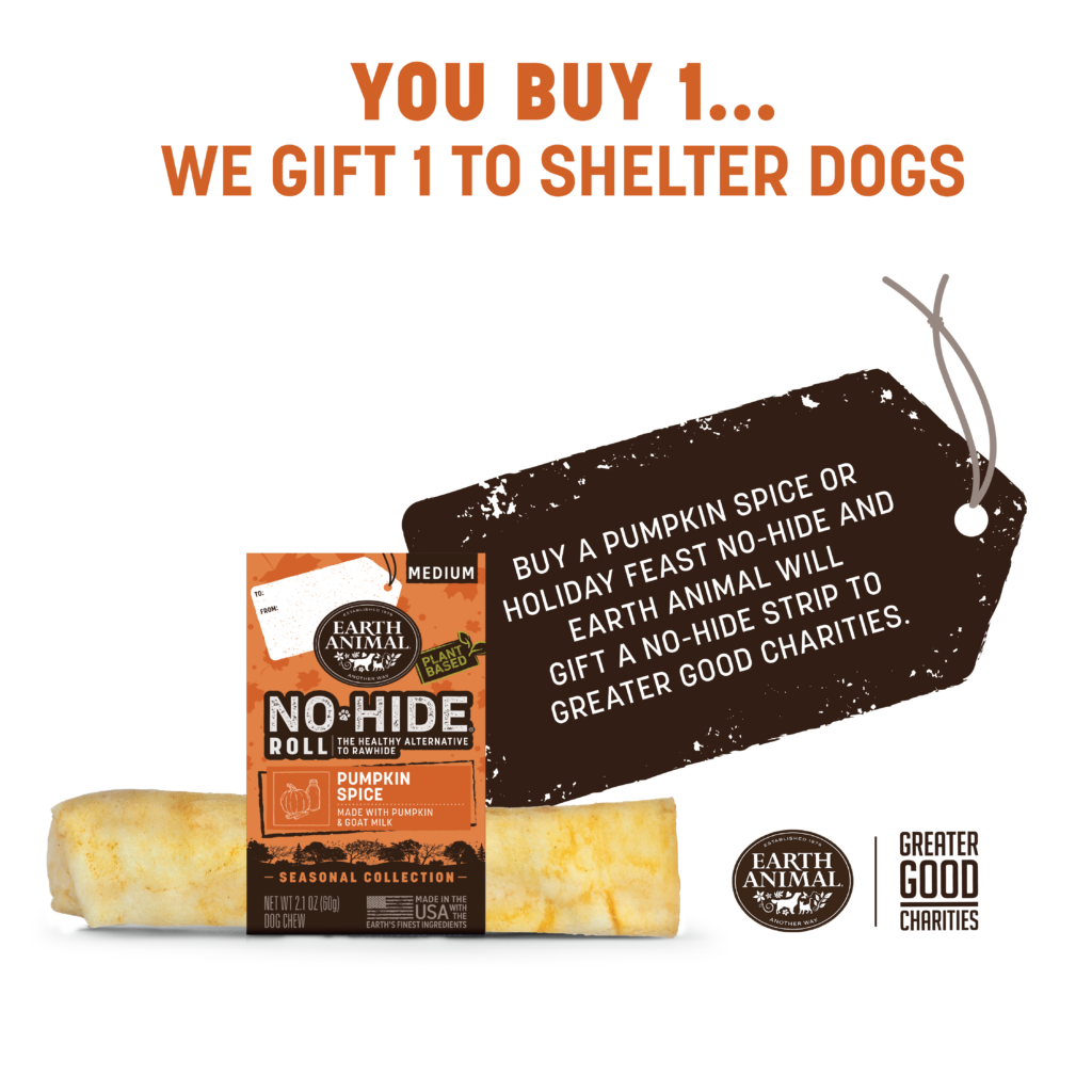 Earth Animal No-Hide Dog Pumpkin Spice Roll Treat