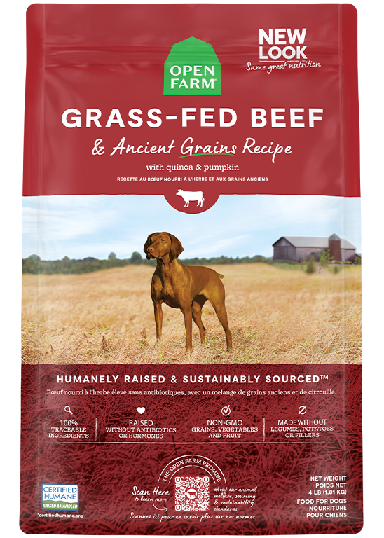 Open Farm Ancient Grains Grass-Fed Beef Dry Dog Food