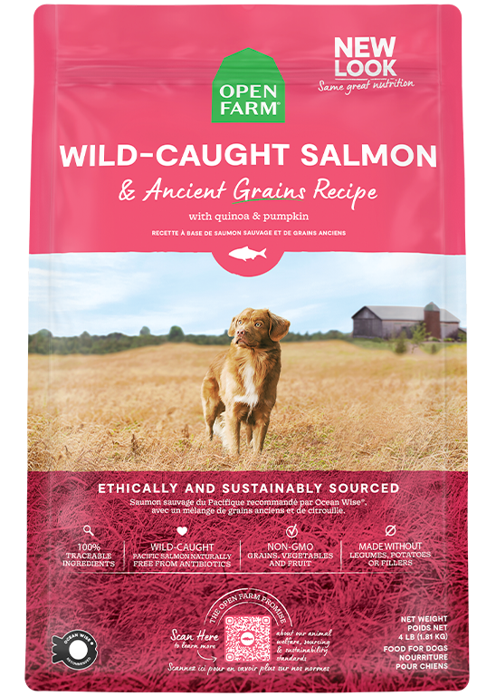 Open Farm Dog Wild-Caught Salmon with Ancient Grains Dry Food