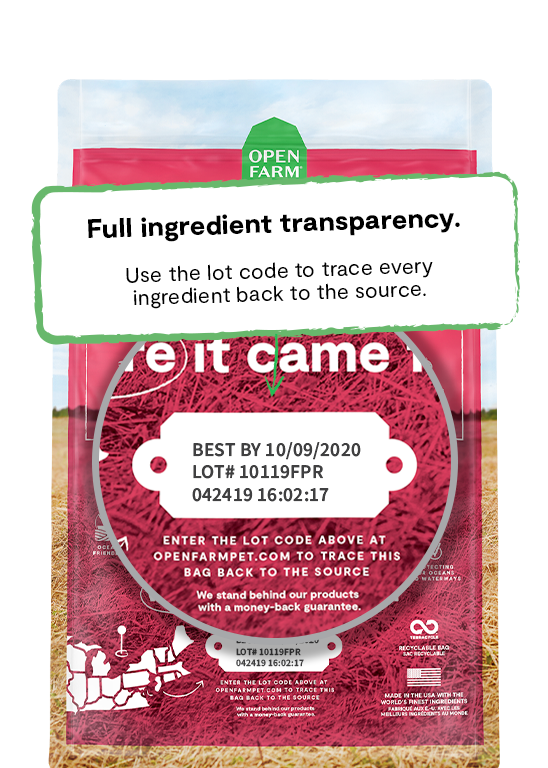 Open Farm Dog Wild-Caught Salmon with Ancient Grains Dry Food