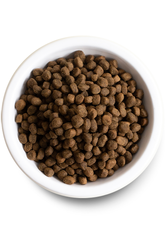Open Farm Ancient Grains Grass-Fed Beef Dry Dog Food