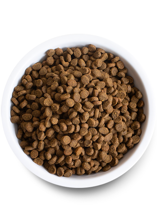 Open Farm Cat Grain Free Wild Salmon Dry Food