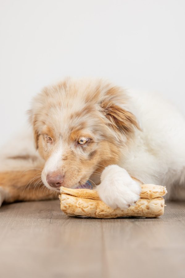 Barking Buddha Peanut Butter Beef Cheek Roll Dog Treat, Small