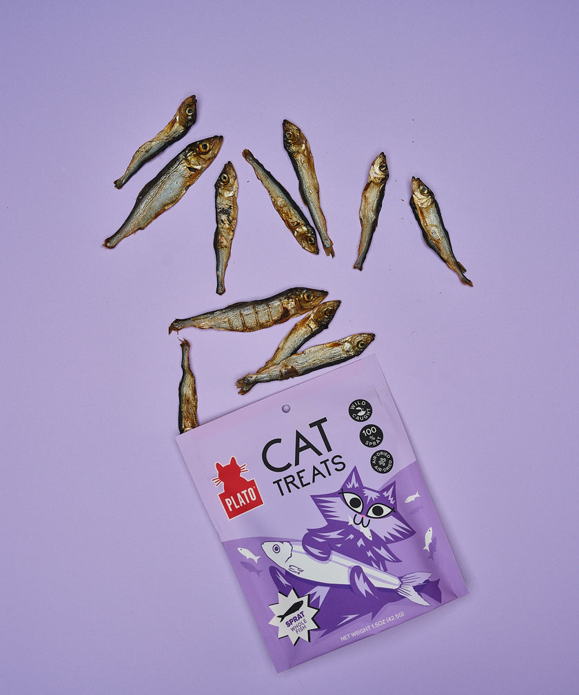 Plato Baltic Sprat Cat Treats