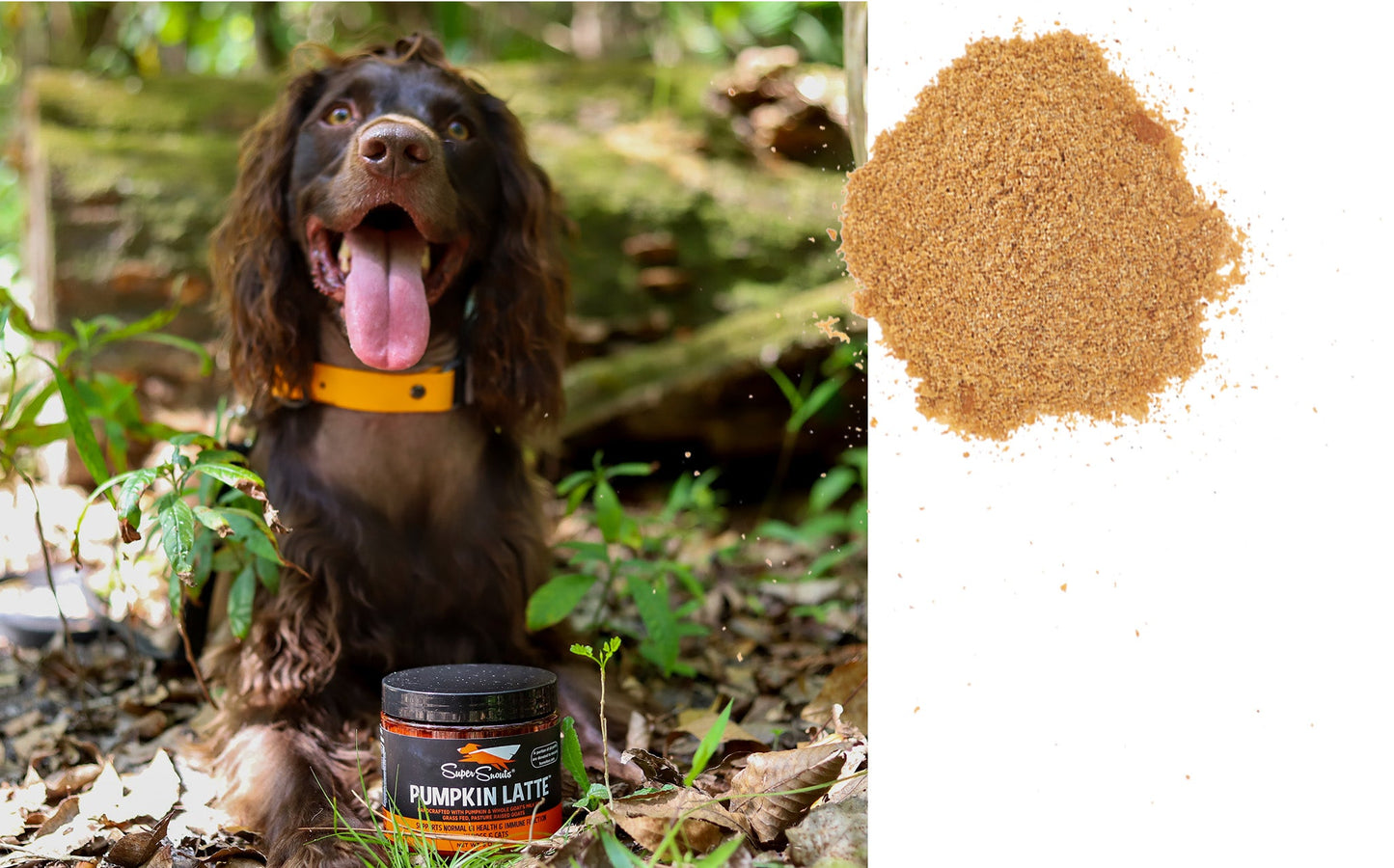 Super Snouts Pumpkin Latte Digestive Supplement for Dogs and Cats