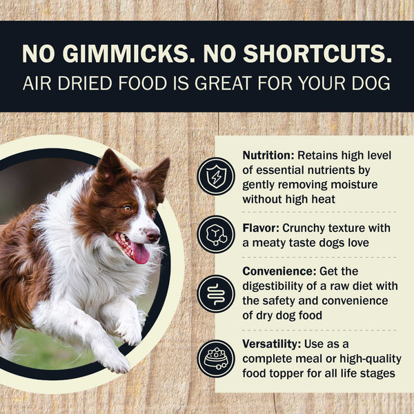 Redbarn Dog Grain Free Gently Air Dried Beef Powerfood