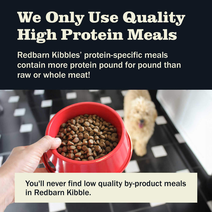Redbarn Whole Grain Sky Recipe Dry Dog Food