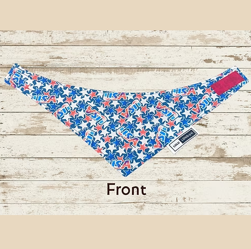 Lulu London Team USA Custom Reversible Dog Bandana