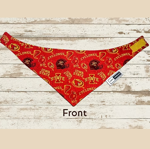 Lulu London I Only Bite Hawkeye Fans Reversible Dog Bandana