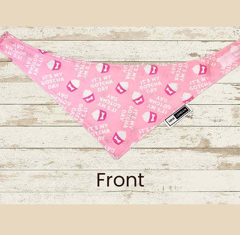 Lulu London Gotcha Day Reversible Dog Bandana