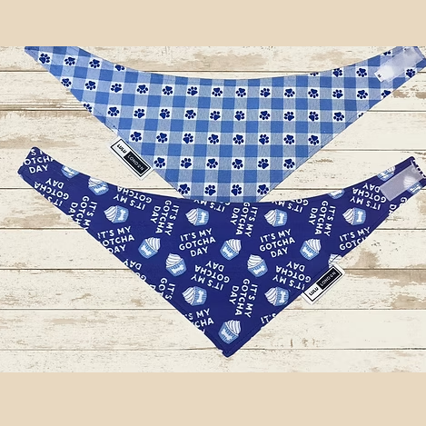 Lulu London Gotcha Day Reversible Dog Bandana