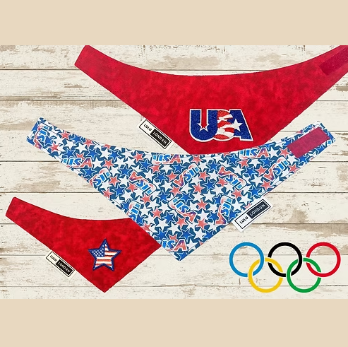 Lulu London Team USA Custom Reversible Dog Bandana