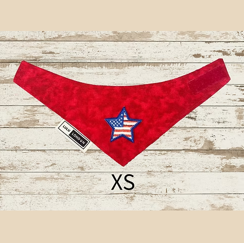 Lulu London Team USA Custom Reversible Dog Bandana